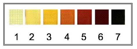 oil color chart